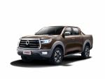 Great Wall Pao 2019 года